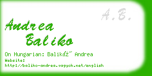 andrea baliko business card